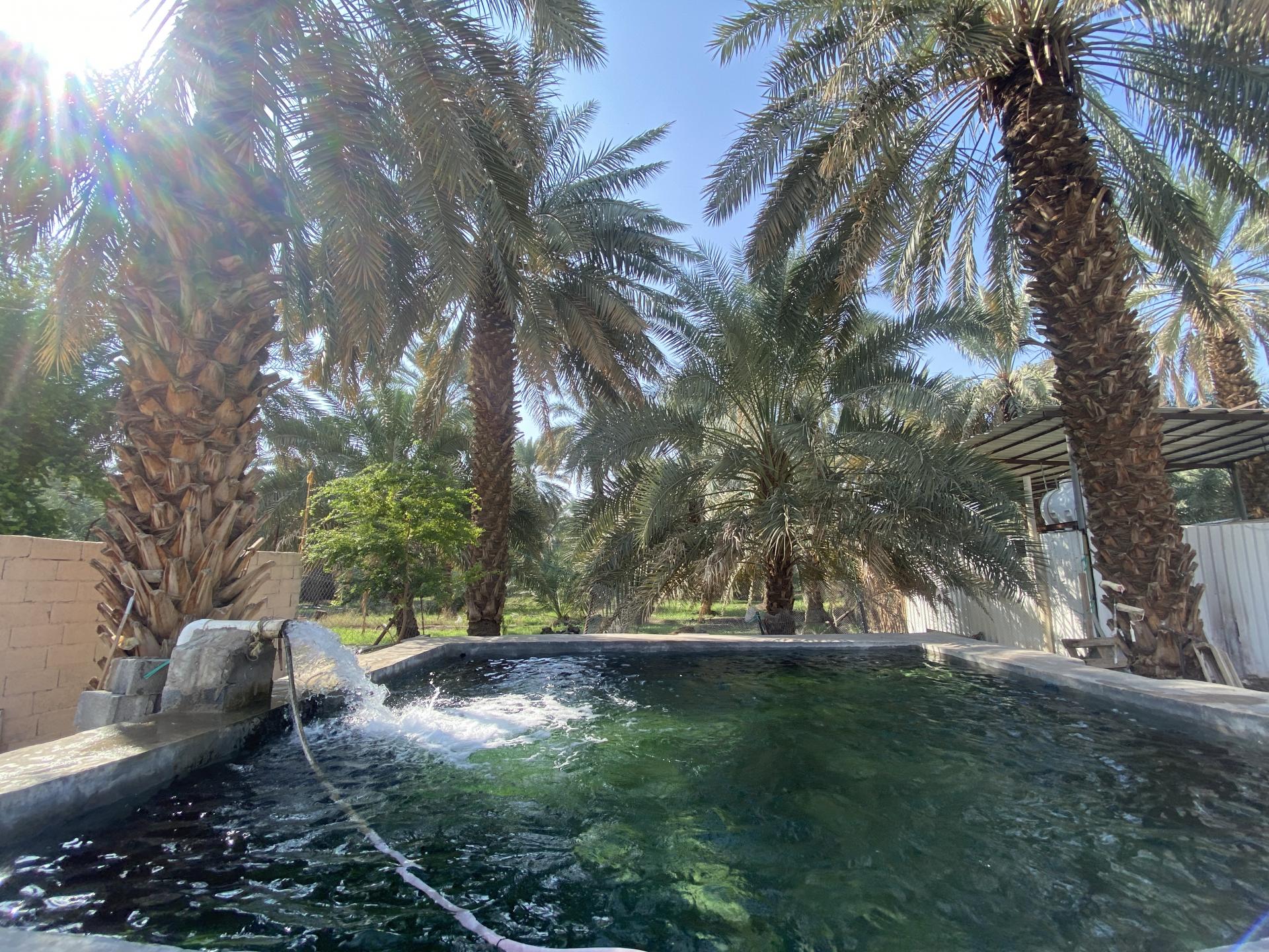 Well of Salman Farsi (RA)